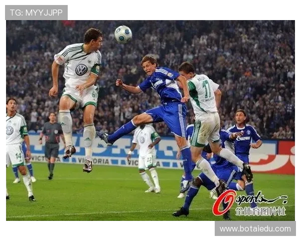 沙尔克04伤员动态哲科单独训练